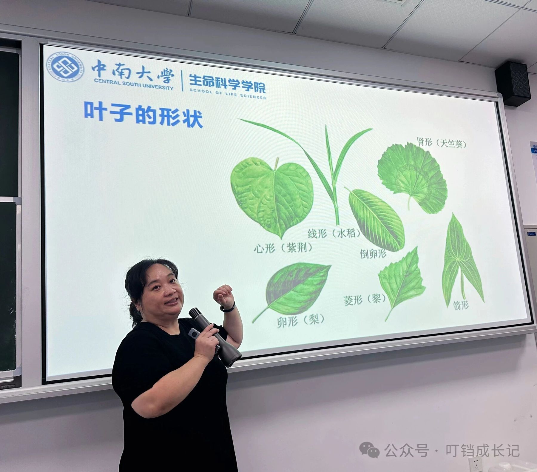 老师在讲解叶子形状分类，PPT展示心形、线形、肾形等叶形